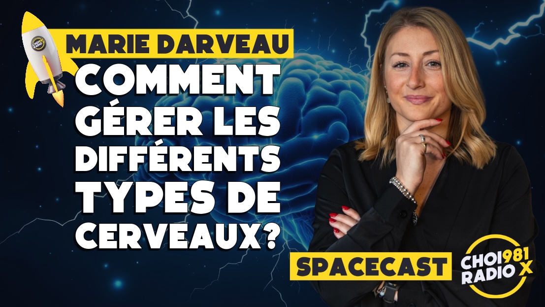 Comment gérer les différents types de cerveaux